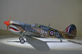 Phoenix Model P-40 Warhawk 30cc Carbon ARF - Hobbytech Toys