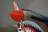 Phoenix Model P-40 Warhawk 30cc Carbon ARF - Hobbytech Toys