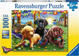 Ravensburger 12886-0 Puppy Picnic 100pc - Hobbytech Toys
