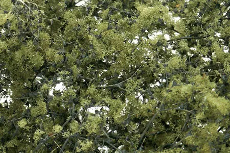 Woodland Scenics F1133 Fine Leaf Foliage Olive Green Woodland Scenics TRAINS - SCENERY