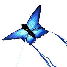 Ocean Breeze Blue Ulysses Butterfly Kite Ocean Breeze TOY SECTION