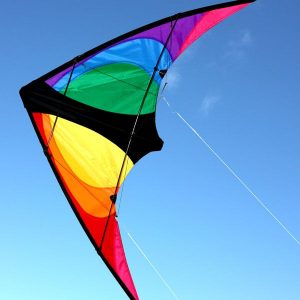 Windspeed Stinger Stunt Kite Dual Line 1170mm - Hobbytech Toys