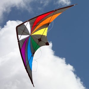 Ocean Breeze Backdraft Performance Dual Kite NULL TOY SECTION