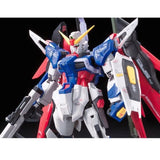 Bandai 5061616 RG 1/144 Destiny Gundam - Hobbytech Toys