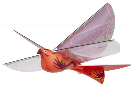 Duncan Dragon Hawk Light Up Bird Duncan TOY SECTION