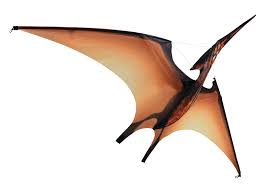 Heebie Jeebies Pterodactyl Jurassic Kite - Hobbytech Toys