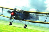 Hobby Boss 1/48 Antonov AN-2M Colt Plastic Model Kit - Hobbytech Toys