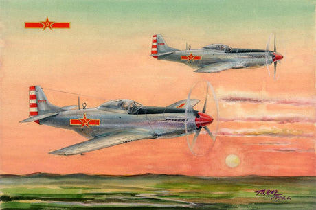 Hobby Boss 85807 1/48 Plaaf P-51D/K Mustang Hobby Boss PLASTIC MODELS