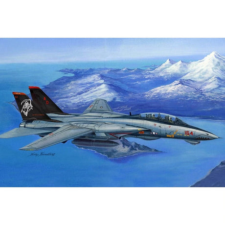 HobbyBoss 1/48 F-14D Super Tomcat Plastic Model Kit [80368] - Hobbytech Toys