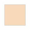 Mr Hobby Mr Color 111 Semi Gloss Character Flesh Spray Mr Hobby PAINT, BRUSHES & SUPPLIES