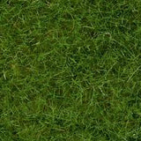 Noch 07092 Wild Grass Light Green 100G Tub Noch TRAINS - SCENERY