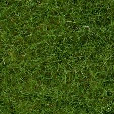 Noch 07092 Wild Grass Light Green 100G Tub Noch TRAINS - SCENERY