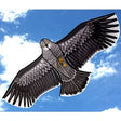 Ocean Breeze Eagle Single Line Kite Ocean Breeze TOY SECTION