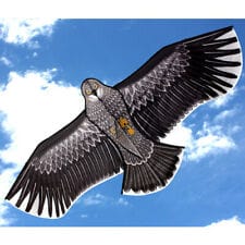 Ocean Breeze Eagle Single Line Kite Ocean Breeze TOY SECTION