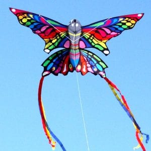 Ocean Breeze Monarch Butterfly Kite NULL TOY SECTION