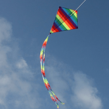 Ocean Breeze Small Diamond Single String Kite NULL TOY SECTION