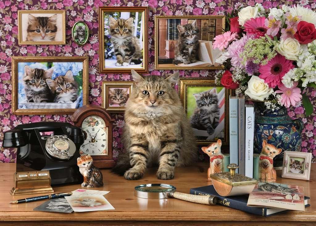 Ravensburger 15994-9 My Cute Kitty 1000pc - Hobbytech Toys