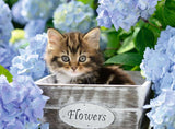 Ravensburger 12894-5 Tortoiseshell Kitty 300pc - Hobbytech Toys