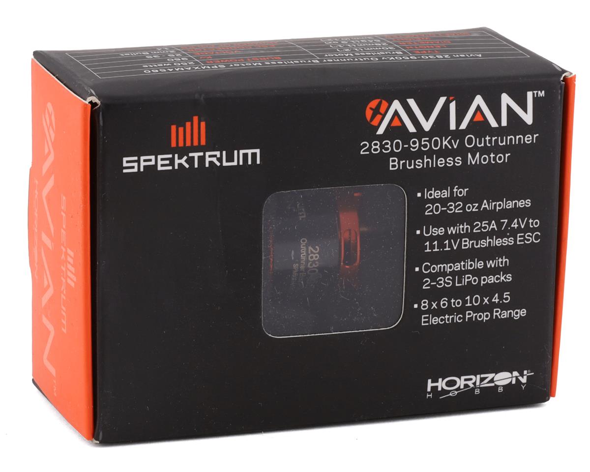 Spektrum Avian 2830-950Kv Brushless Outrunner Motor - Hobbytech Toys