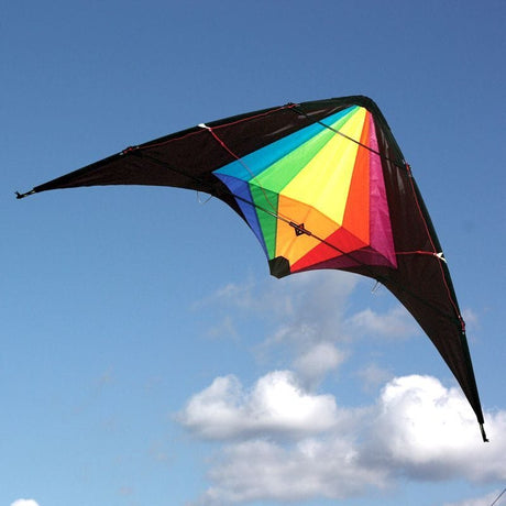 Windspeed Black Widow Sport Dual Kite NULL TOY SECTION