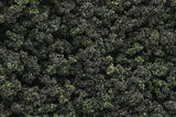 Woodland Scenics FC139 Underbrush Forest Blend Woodland Scenics TRAINS - SCENERY