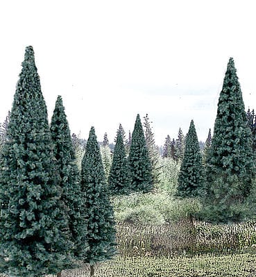 Woodland Scenics Ready Made Spruce Trees 4-6in (13pcs) Woodland Scenics TRAINS - SCENERY