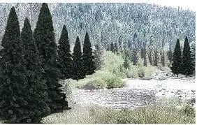 Woodland Scenics Ready Made Trees Value Pack, Evergreen 2-4in (18pcs) Woodland Scenics TRAINS - SCENERY