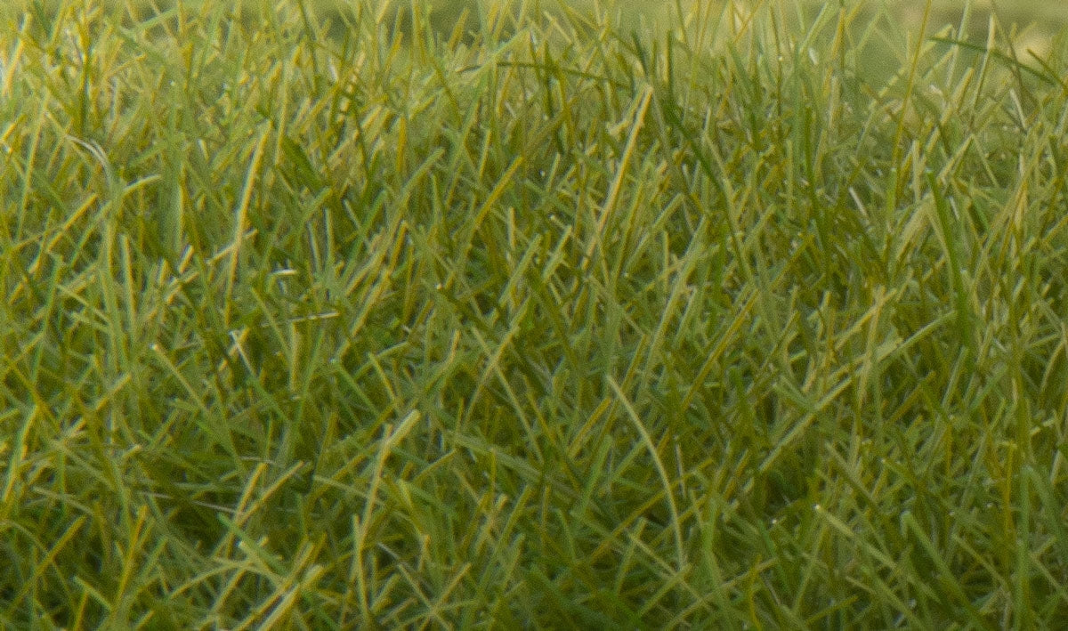 Woodland Scenics 12mm Static Grass Dark Green Woodland Scenics TRAINS - SCENERY